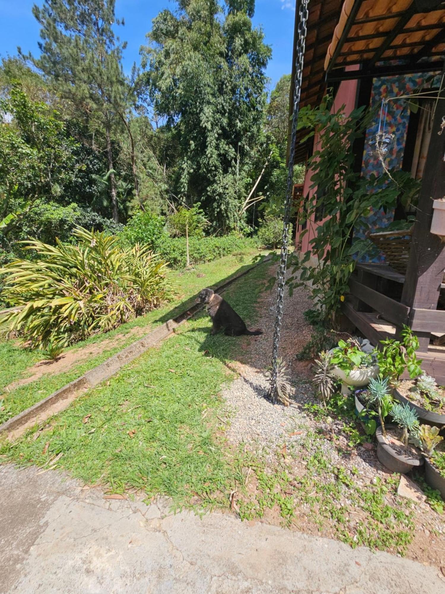 Suites Casinha Do Alto Da Bocaina Sao Pedro da Serra  Ngoại thất bức ảnh
